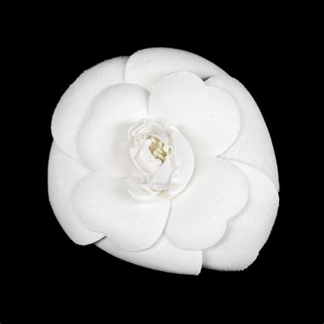 chanel white flower brooch.